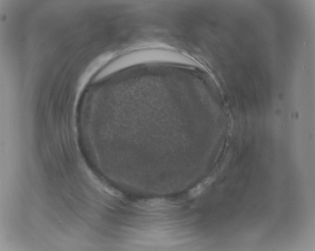 X0000071850104200607211902