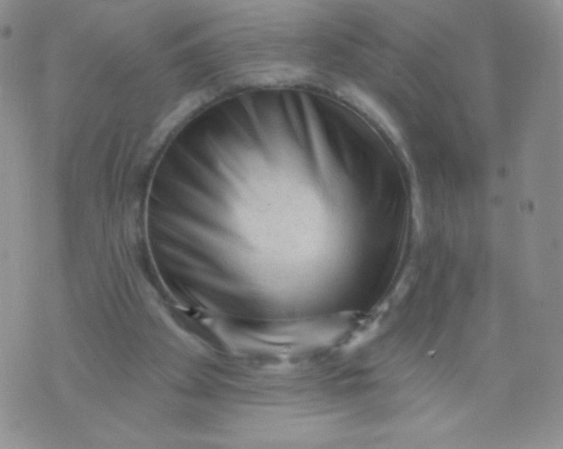 X0000071850105200607211902