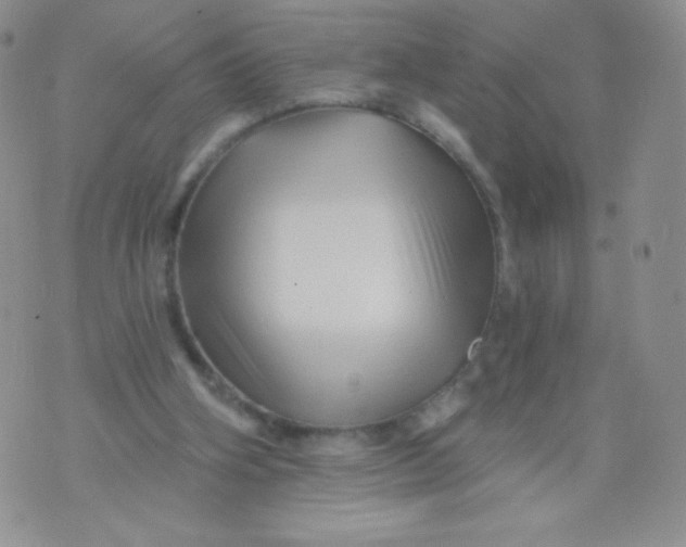 X0000071850106200607211902