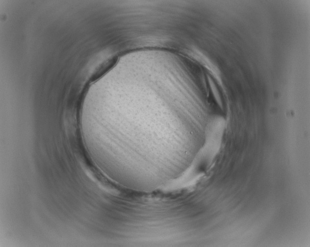 X0000071850107200607211902