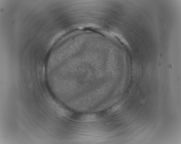 X0000071850110200607211902