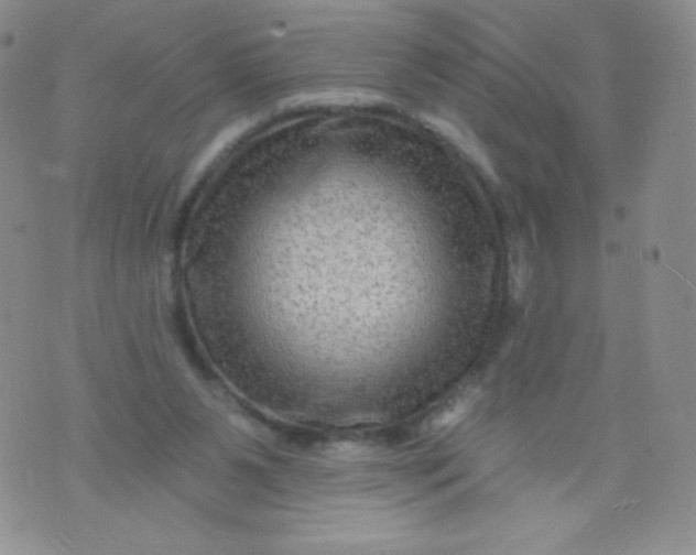 X0000071850111200607211902