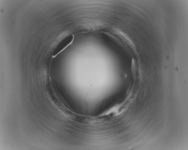 X0000071850113200607211902