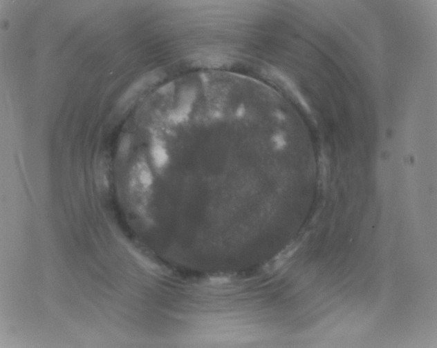 X0000071850114200607211902