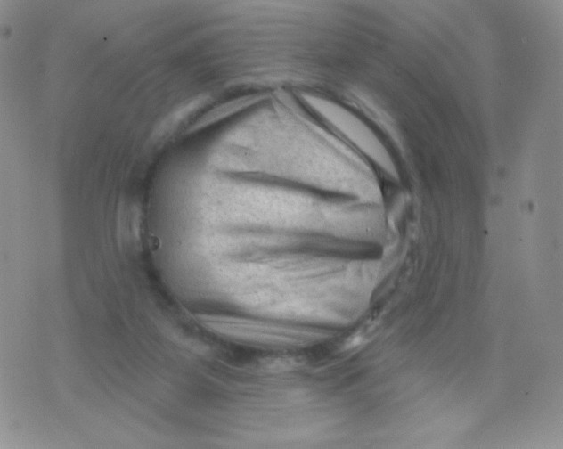 X0000071850115200607211902