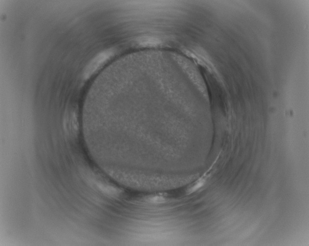 X0000071850116200607211902