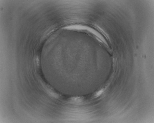 X0000071850117200607211902