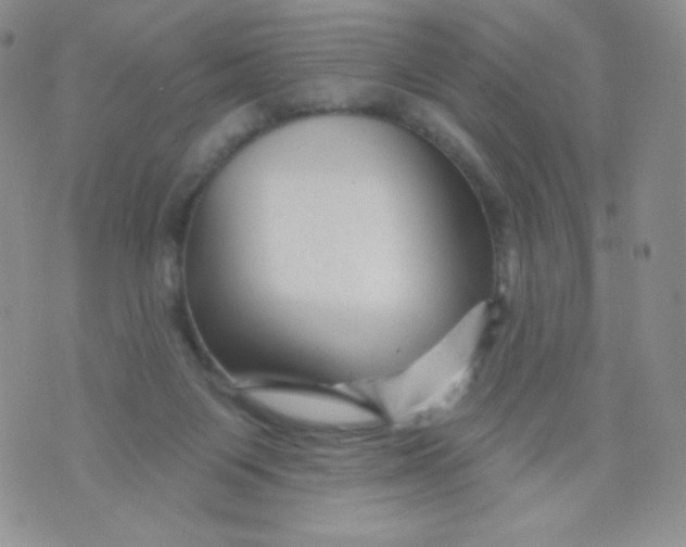 X0000071850119200607211902