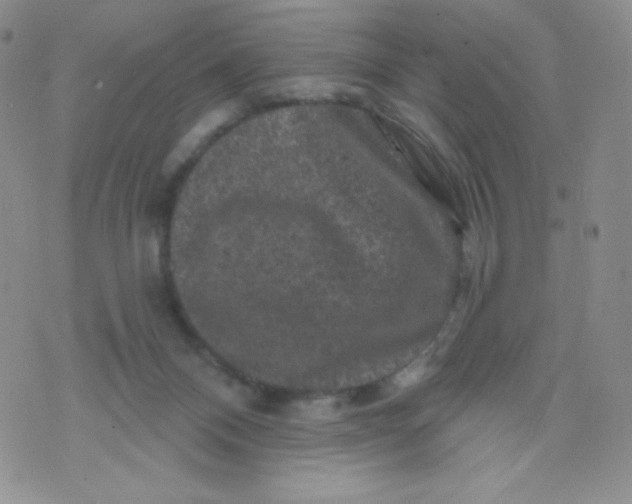 X0000071850120200607211902