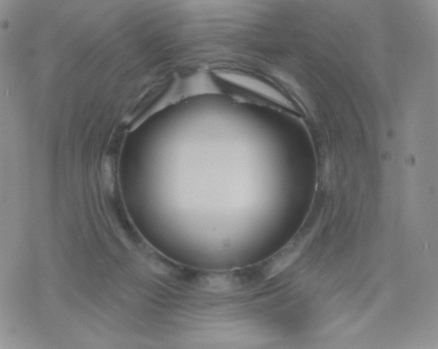 X0000071850121200607211902