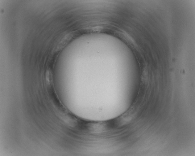 X0000071850122200607211902