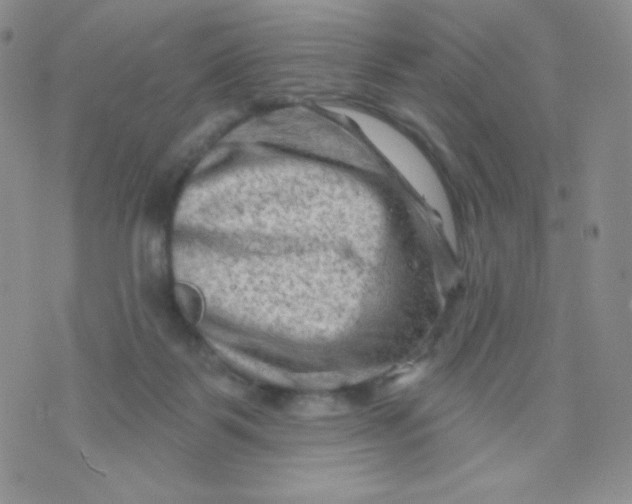 X0000071850123200607211902