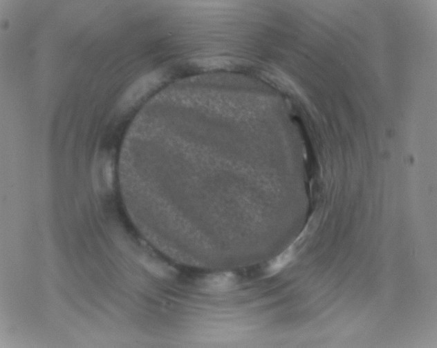 X0000071850124200607211902