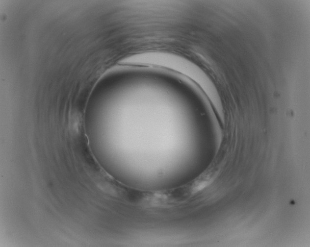 X0000071850125200607211902