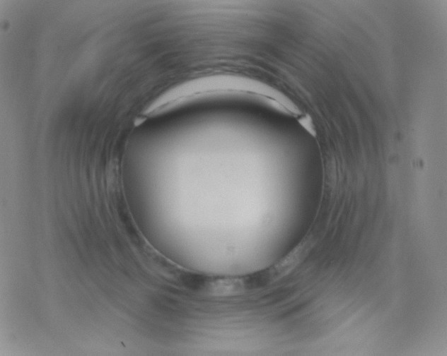 X0000071850126200607211902