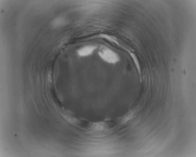 X0000071850127200607211902