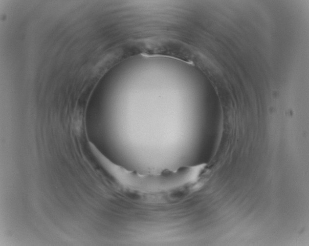 X0000071850129200607211902