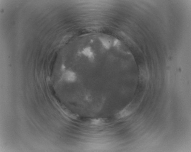 X0000071850130200607211902