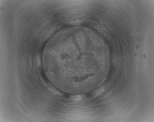 X0000071850131200607211902