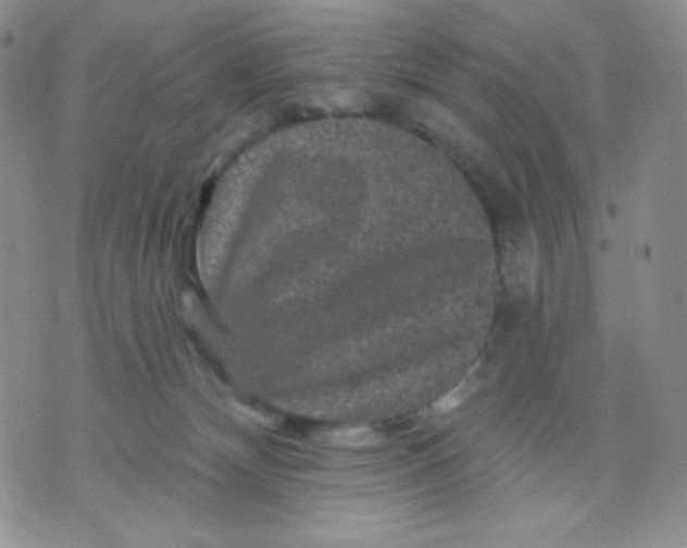 X0000071850132200607211902