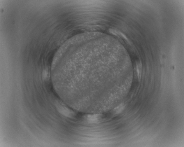 X0000071850134200607211902