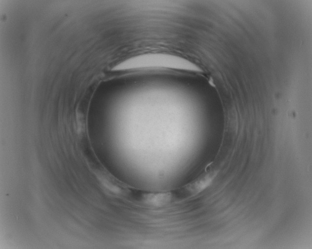 X0000071850135200607211902