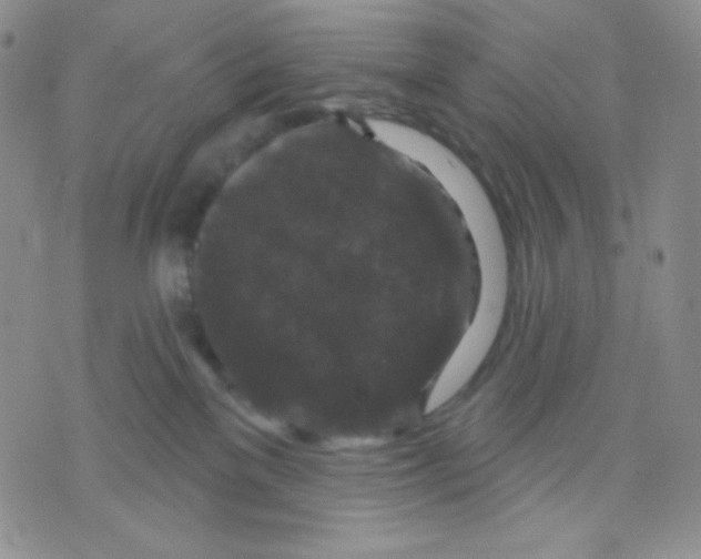 X0000071850137200607211901