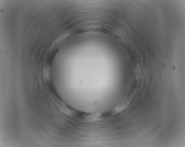 X0000071850138200607211901