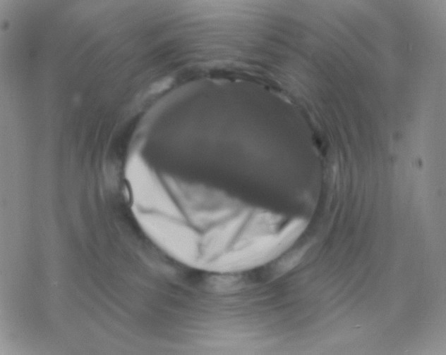 X0000071850139200607211901