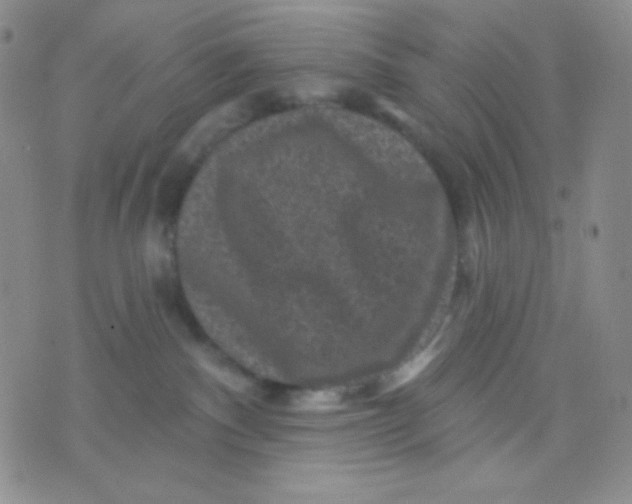 X0000071850140200607211901