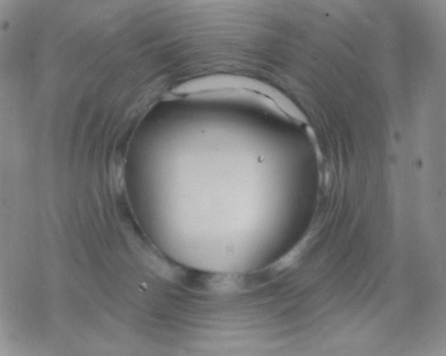 X0000071850142200607211901