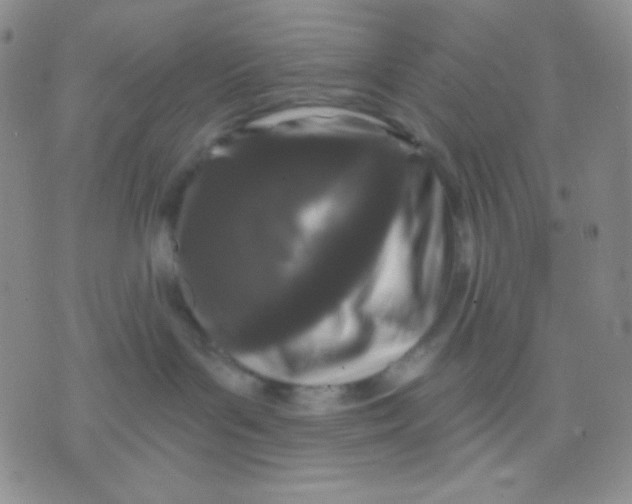 X0000071850143200607211901