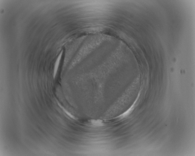 X0000071850144200607211901