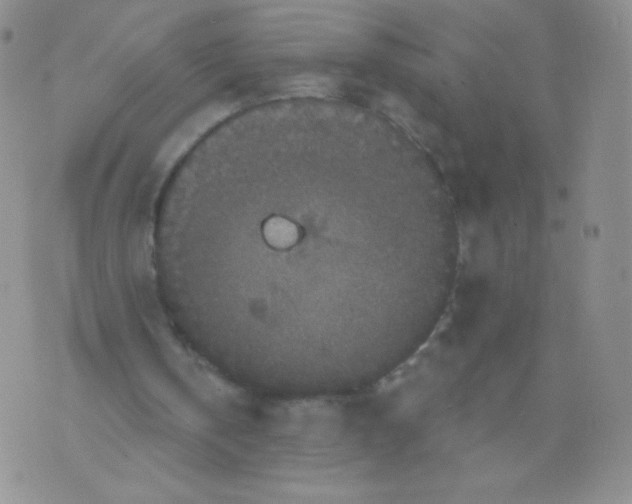 X0000071850146200607211901