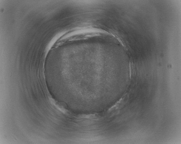 X0000071850147200607211901