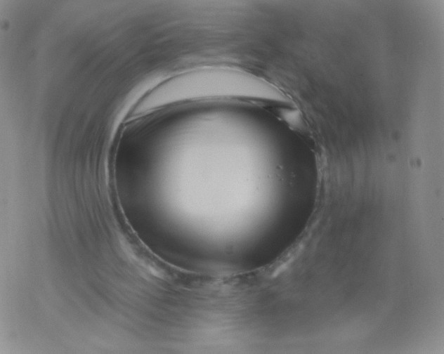 X0000071850148200607211901