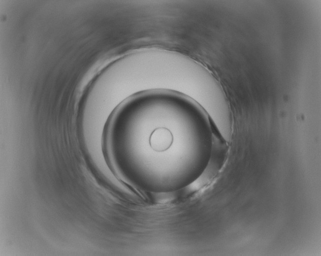 X0000071850150200607211901