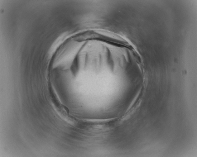 X0000071850151200607211901