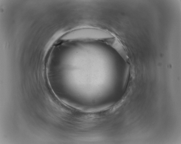 X0000071850152200607211901