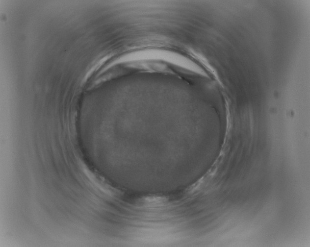 X0000071850154200607211901