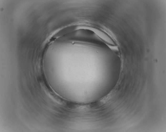 X0000071850155200607211901