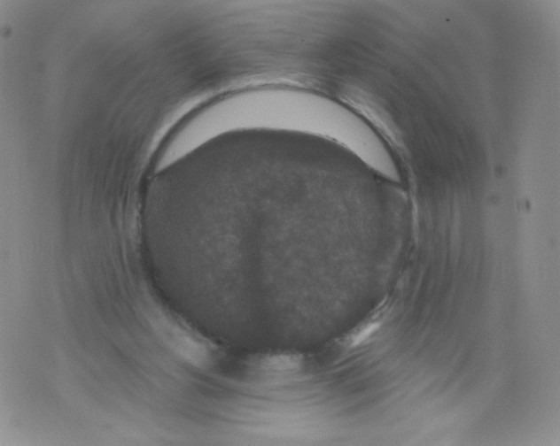 X0000071850156200607211901