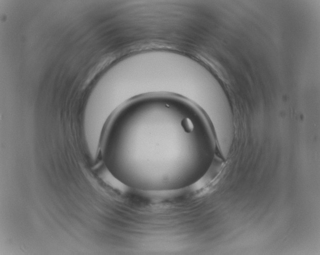 X0000071850158200607211901