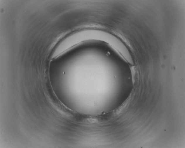 X0000071850159200607211901