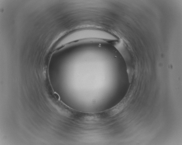 X0000071850160200607211901