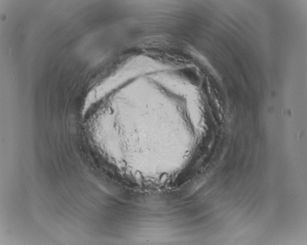 X0000071850161200607211901