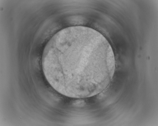 X0000071850162200607211901