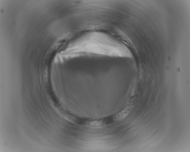 X0000071850163200607211901