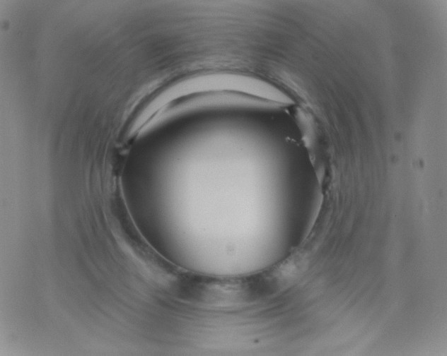 X0000071850164200607211901