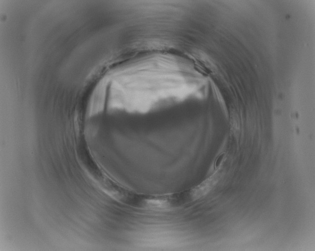 X0000071850167200607211901